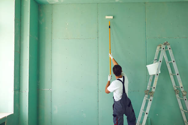 Best Mold Remediation for Healthcare Facilities  in Chaffee, MO