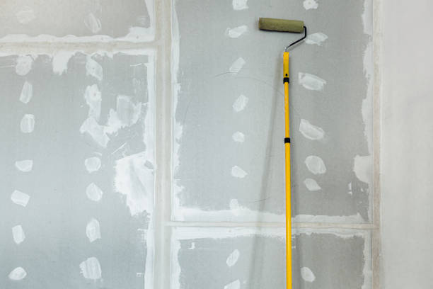 Asbestos and Lead Testing During Mold Inspection in Chaffee, MO