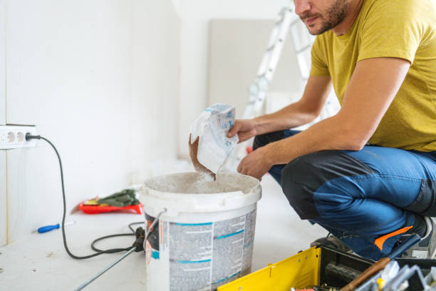 Chaffee, MO Mold Removal Company