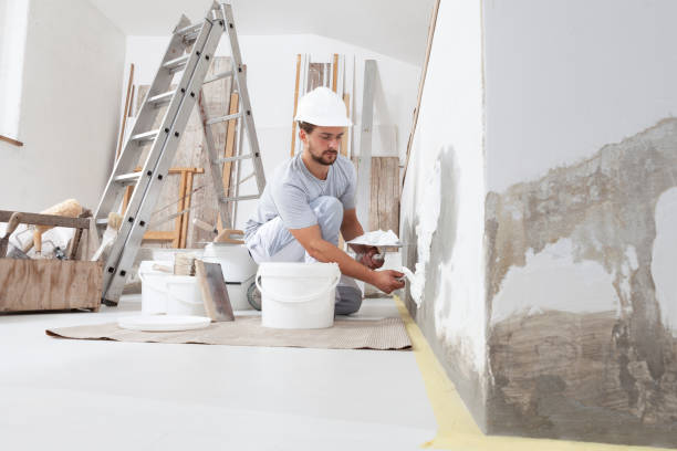 Best Post-Construction Mold Inspection  in Chaffee, MO