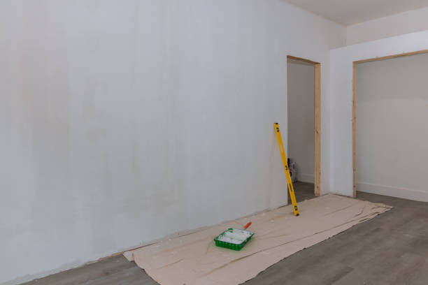 Best Air Quality Testing for Mold Spores  in Chaffee, MO