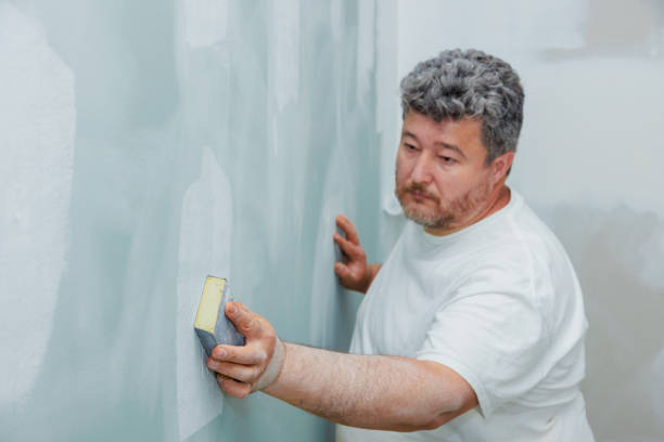 Best Post-Construction Mold Inspection  in Chaffee, MO