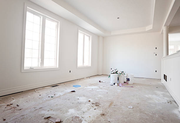 Best Mold Damage Restoration  in Chaffee, MO