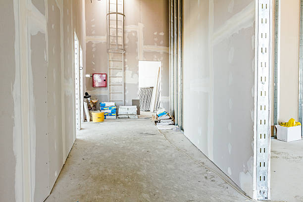 Best Water Damage & Mold Remediation  in Chaffee, MO