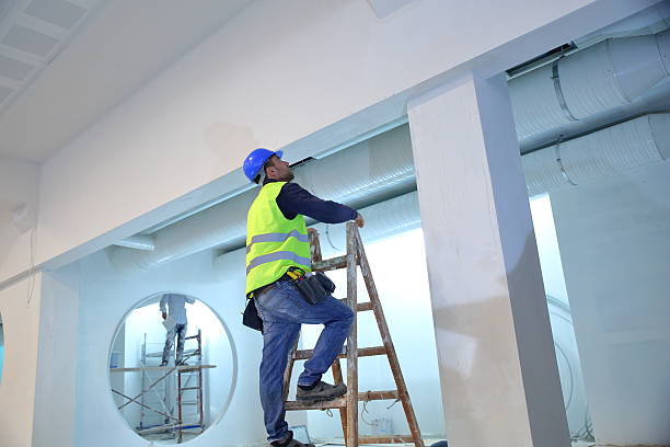 Best Commercial Mold Inspection  in Chaffee, MO