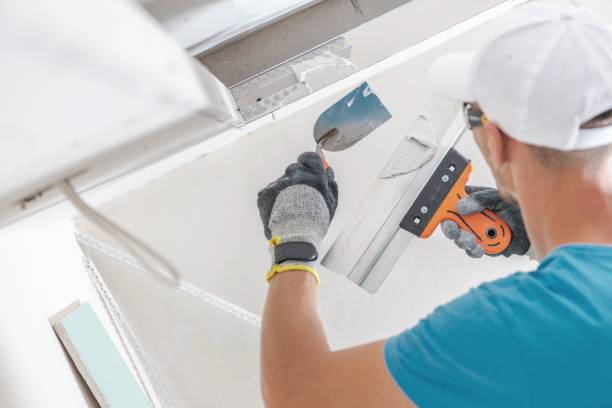 Best Asbestos and Lead Testing During Mold Inspection  in Chaffee, MO
